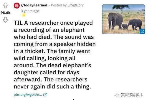 大象新闻爆料情感剧本是真的吗,真相揭秘，是虚构还是真实？  第1张